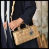 1 (1) شنطة ديور مستطيلة بيج
