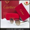 نظارات شمسية أنيقة للرجال عدسات بني اطار ذهبي