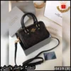 rbt19 (8) شنطة كوتش سوداء بنقشة الماركة