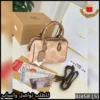 شنطة Coach البيج المزخرفة