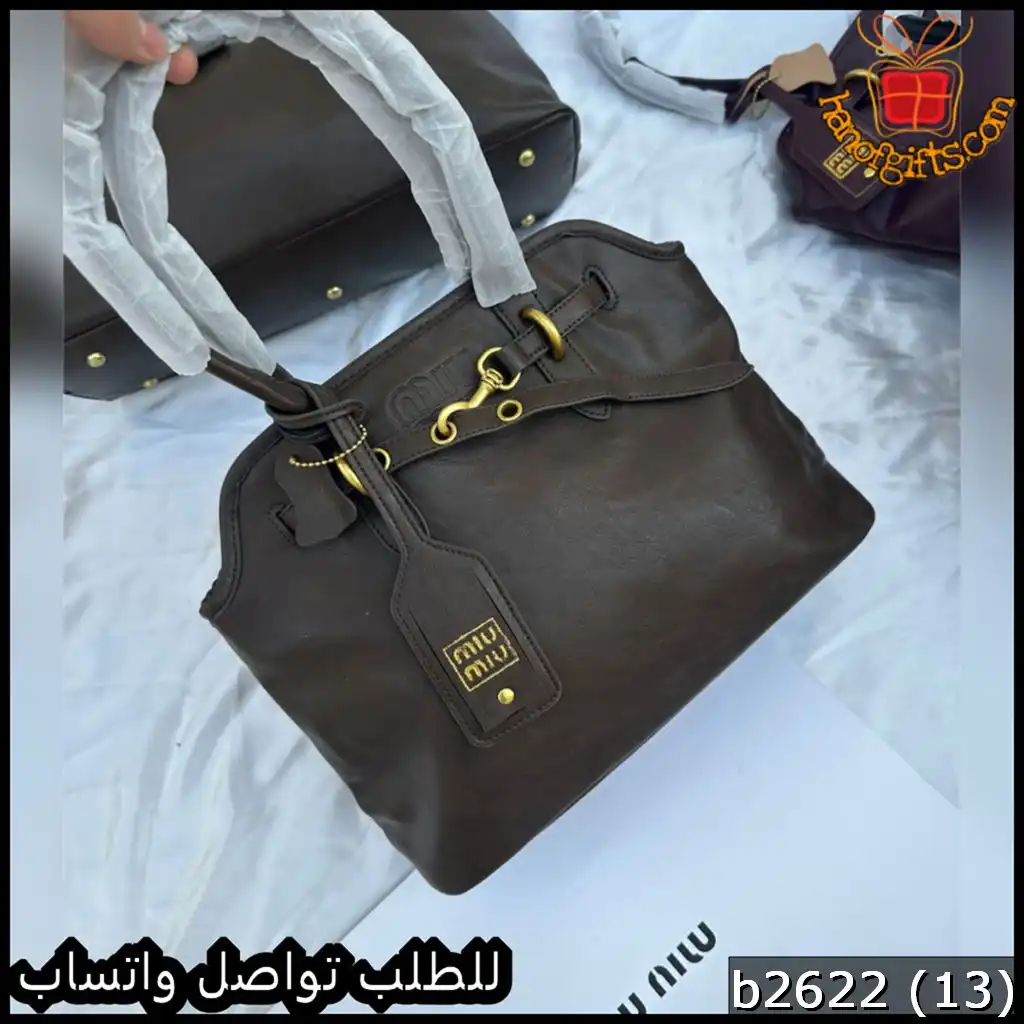 b2622 (13) تشكيلة شنط Miu Miu نسائية