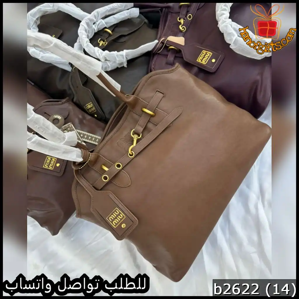 b2622 (14) تشكيلة شنط Miu Miu نسائية