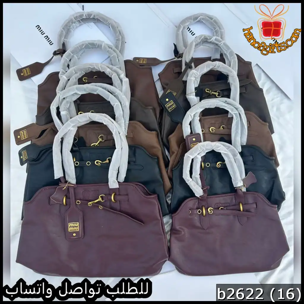 b2622 (16) تشكيلة شنط Miu Miu نسائية