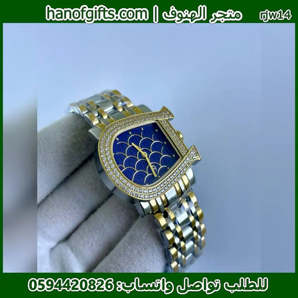 Aigner حذوة الحصان مينا ازرق اطار فصوص