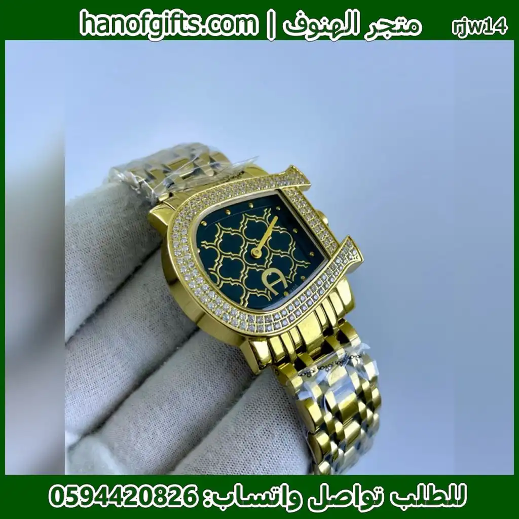 Aigner حذوة الحصان ذهبيه مينا اسود اطار فصوص