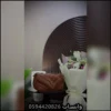 شنط سان لوران صغيرة بعدة ألوان