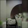 شنط سان لوران صغيرة بعدة ألوان