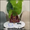 شنط شانيل الدلو مخمل - ساده - لمعة - سراميك