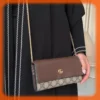 شنطة جوتشي صغيرة عدة ألوان